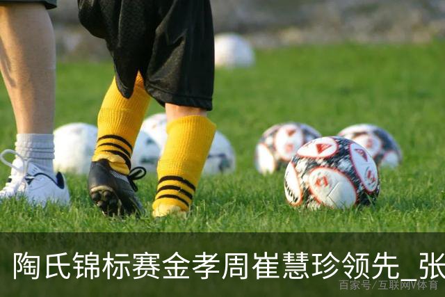 陶氏锦标赛金孝周/崔慧珍领先 张维维/张雅惠T24